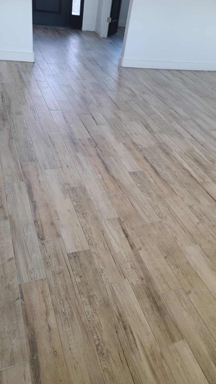 Apartment 6