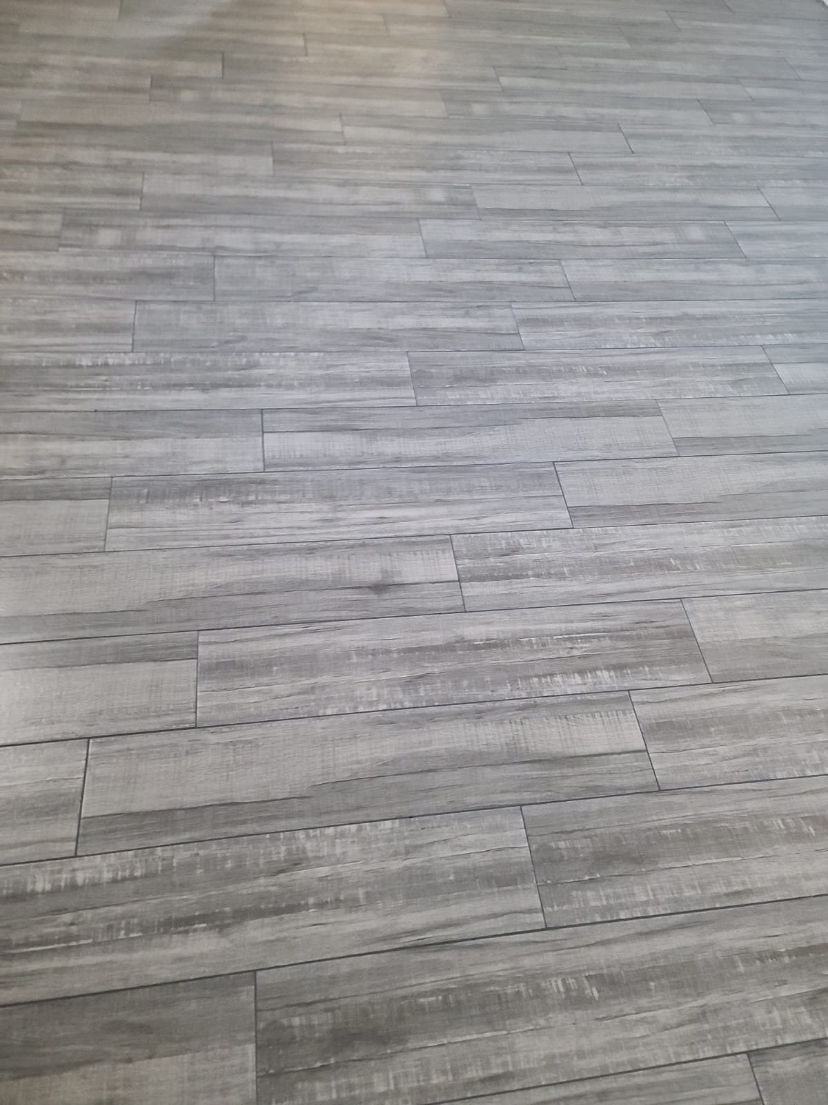 Apartment 6